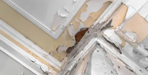 Garvey Construction, Water-damaged ceiling & trim